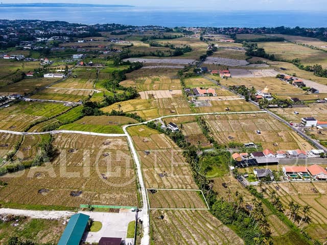 1400m2 Land For Sale With Ricefield View in Seseh, Pererenan