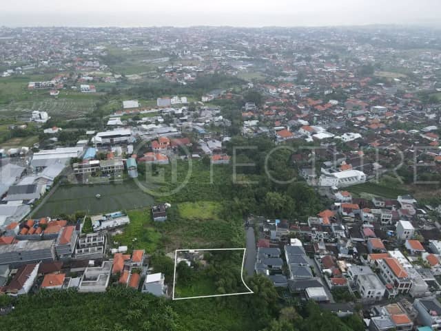 Amazing Plot of Freehold Land in Canggu, Canggu