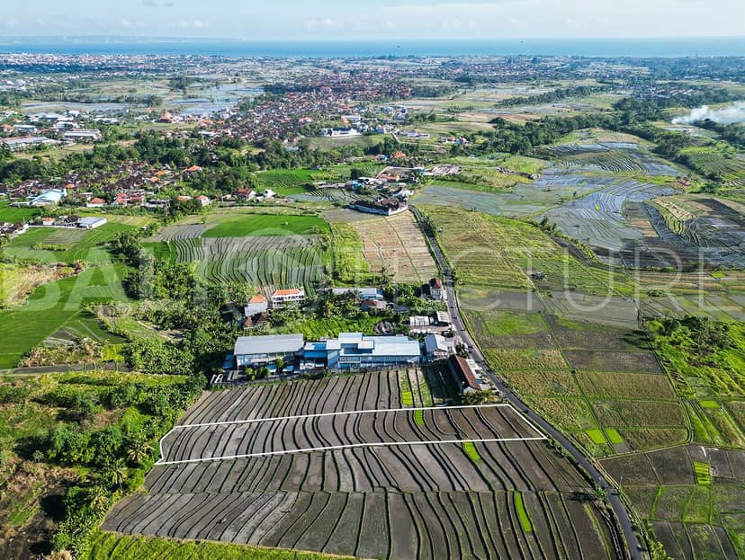 2925m2 Stunning Land With Ricefield View In Kaba Kaba, Tabanan, Bali