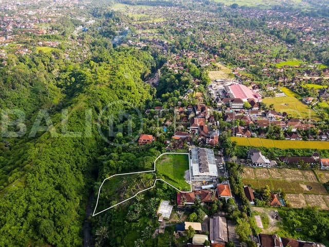 3140m2 Amazing Land In The Ubud Valley, Ubud