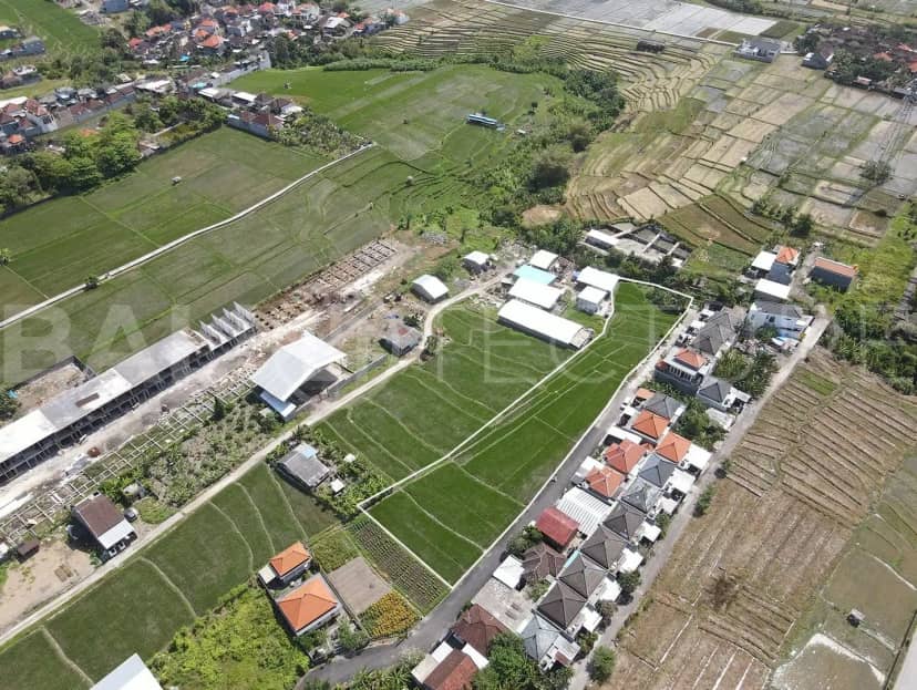 2500m2 Stunning Land With Ricefield View In Buduk, Canggu, Bali