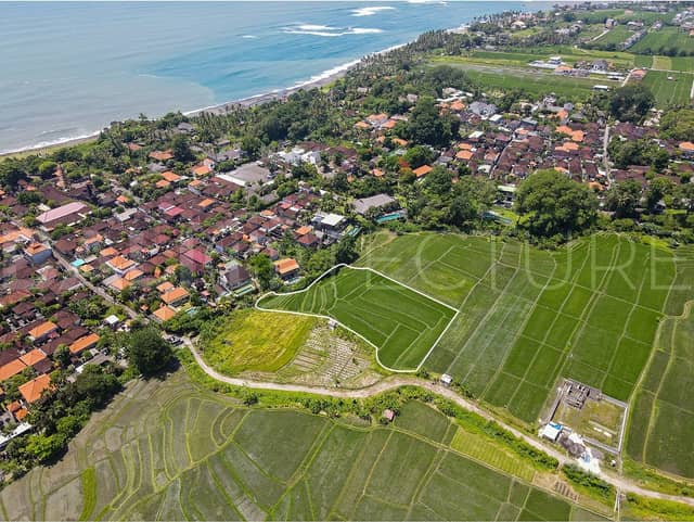 3700m2 Stunning Land With Ricefield View Seseh, Pererenan