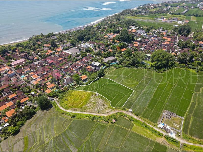3700m2 Stunning Land With Ricefield View Seseh, Pererenan, Bali
