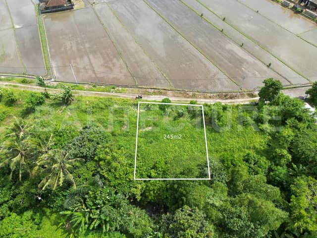 Rare 240m² Riverfront Freehold Land in Nyitdah, Tabanan, Tabanan