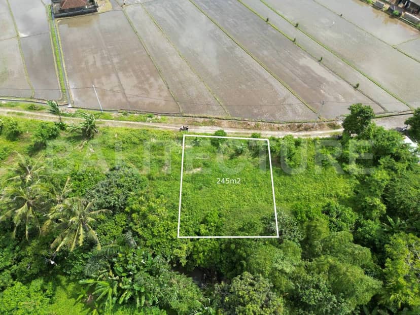 Rare 240m² Riverfront Freehold Land in Nyitdah, Tabanan, Tabanan, Bali