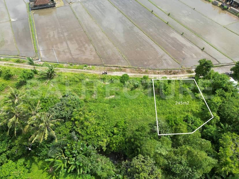 Riverfront Development Land in Nyitdah Kedungu Area, Tabanan — Prime 245m² Yellow Zone Plot, Pererenan, Bali