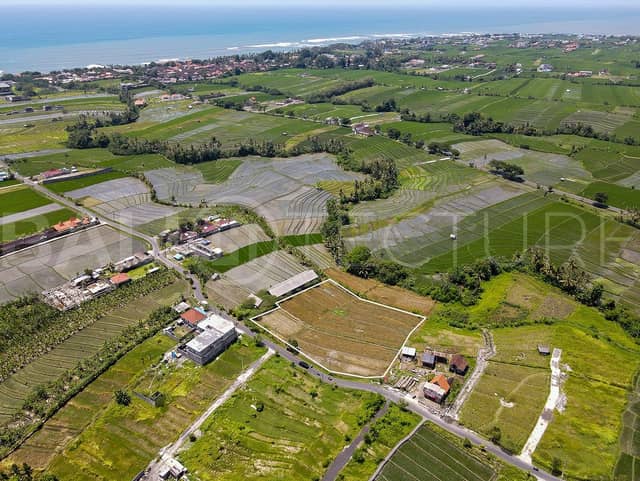 4000m2 Amazing Land With Ricefield View At Pererenan, Pererenan
