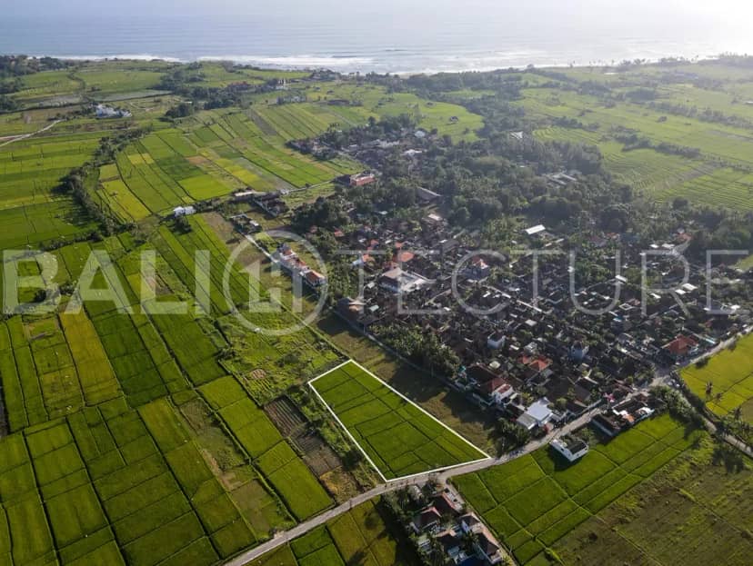 3000m2 Amazing Land With Ocean View Near Kedungu Beach, Pererenan, Bali