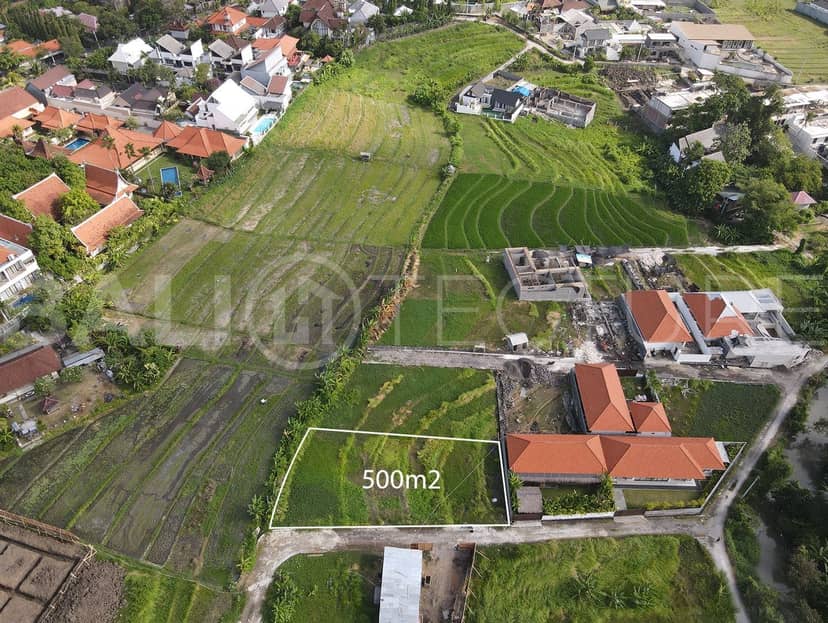 500m² Prime Land in Bumbak Umalas With Stunning Rice Field Views, Seminyak, Bali