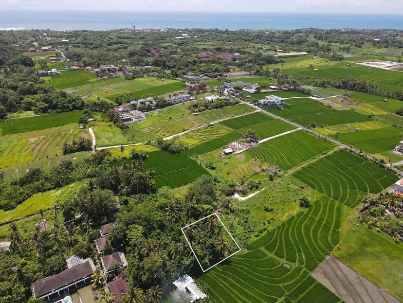 540m2 Land For Sale With Jungle View in Prime Area Nyanyi, Pererenan, Bali