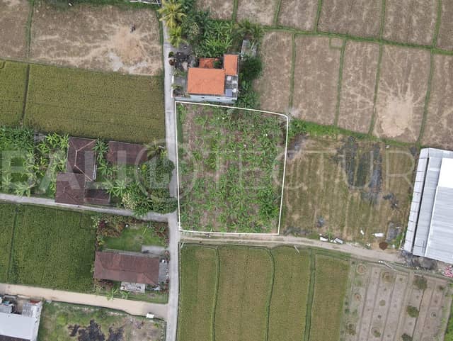 900m2Land For Sale with Rice Field View In Ubud, Ubud