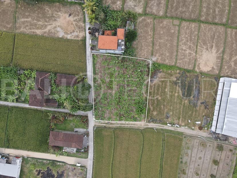 900m2Land For Sale with Rice Field View In Ubud, Ubud, Bali