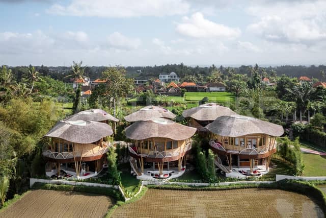 6-Unit Eco Bamboo Resort in Sukawati — Fully Operational, High-Yield Honeymoon Niche, Rice Field Views, Ubud
