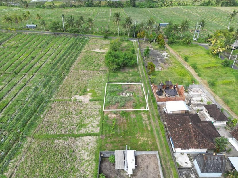 Freehold Land for Sale in Buwit Bali – 200m² Residential Land with Ricefield View, Tabanan, Bali