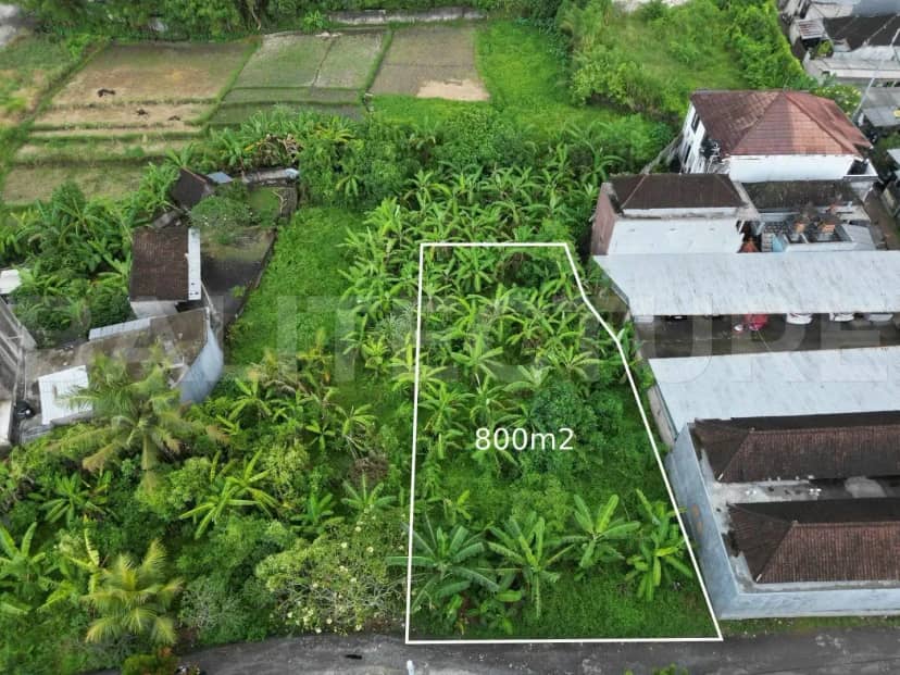 Land for Sale with Rice Field View in Munggu Bali – 800m² Freehold, Pererenan, Bali