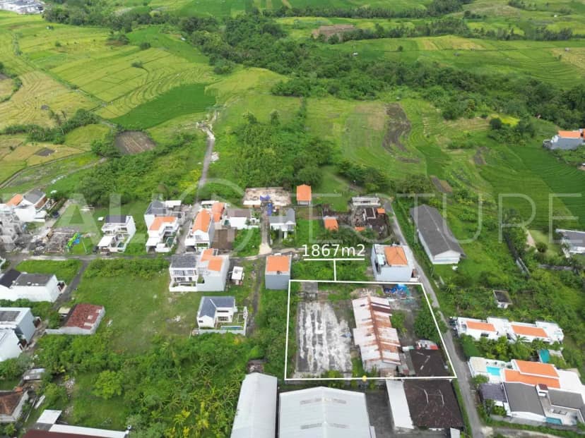 Prime Leasehold Land in Munggu Seseh – Ideal for Investment, Pererenan, Bali