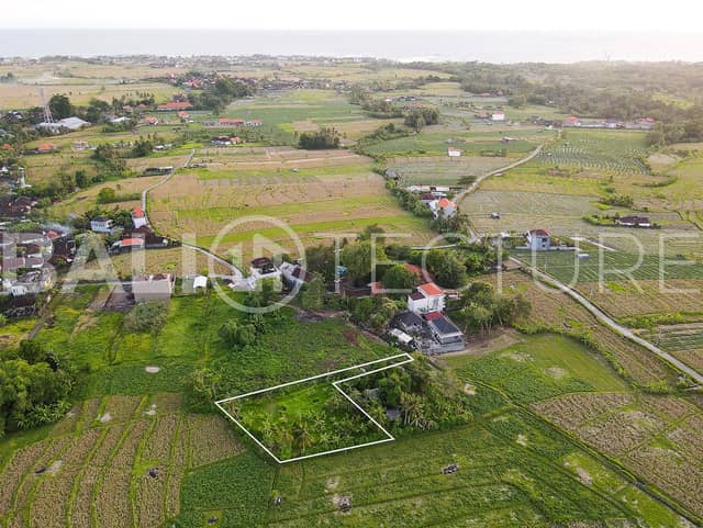 843m2 Stunning Land with Ricefield View In Cemagi, Pererenan