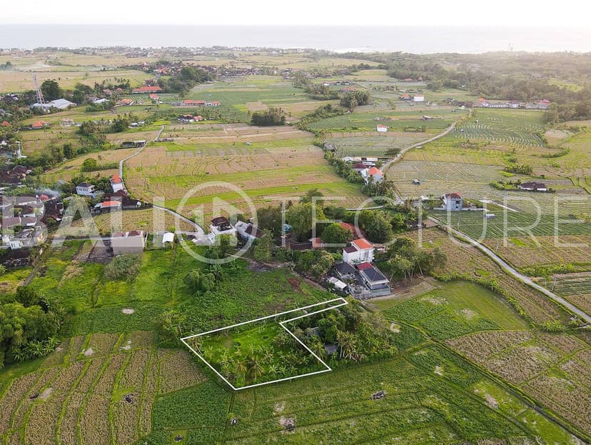 843m2 Stunning Land with Ricefield View In Cemagi, Pererenan, Bali