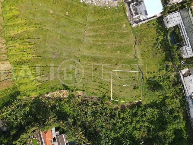 600m2 Land For Sale With Ricefield View In Pererenan, Pererenan