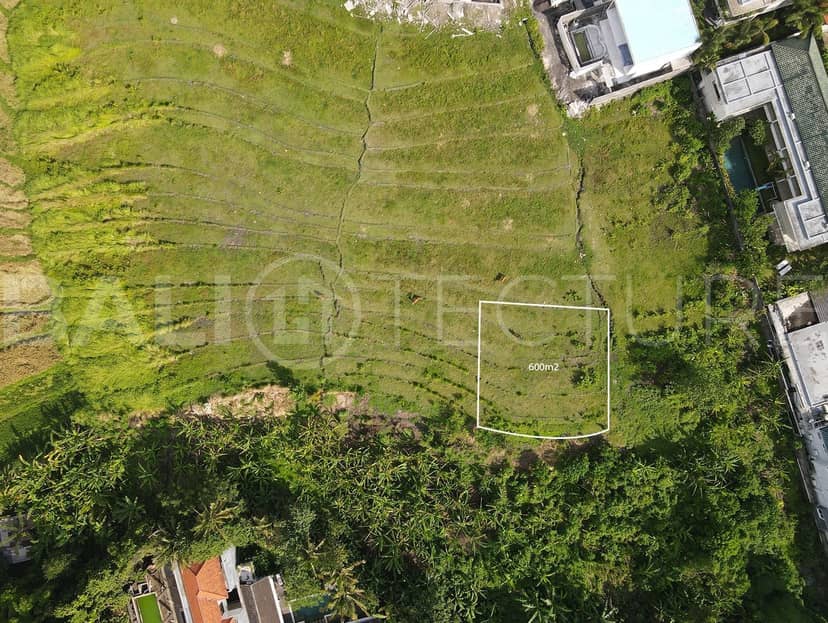 600m2 Land For Sale With Ricefield View In Pererenan, Pererenan, Bali