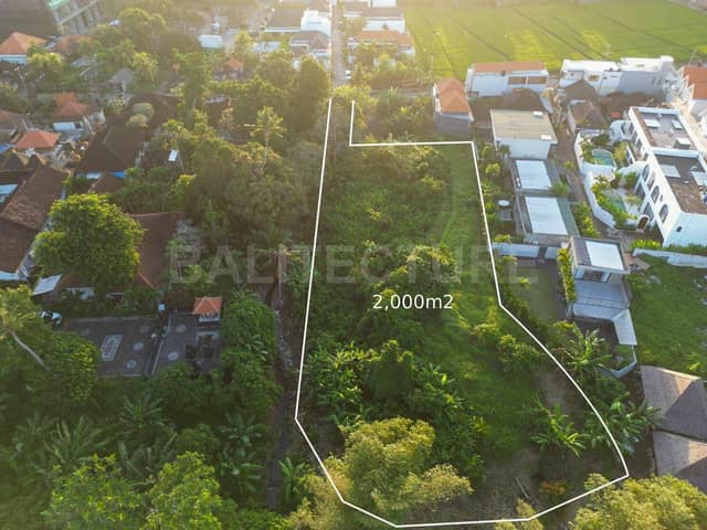 Land for Lease in Seseh 2,000m² Just Minutes from Seseh Beach, Pererenan