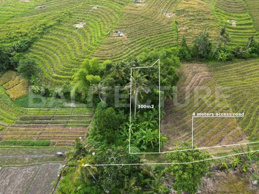300m2 Scenic Land in Kelating Tabanan — Tourism Zone, Rice Field Views, Near Beach, Tabanan, Bali