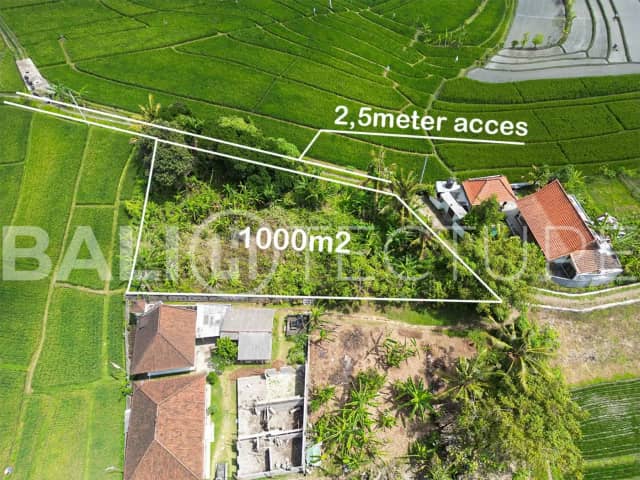 Serene 1000m² Leasehold Land in Kaba-Kaba Tabanan, Tabanan