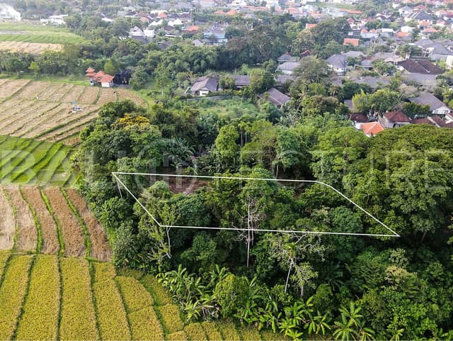 1180m2 Beautifull Land For Sale In Residential Umalas, Seminyak