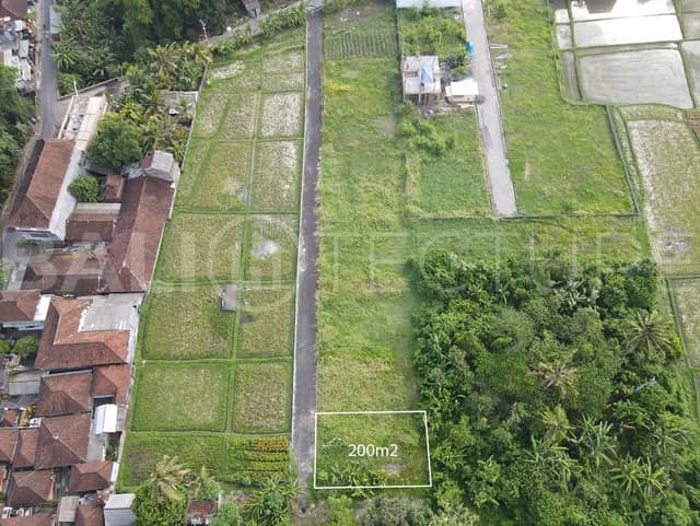 200m2 of Land For Sale in Kedungu with Ricefield Views, Pererenan