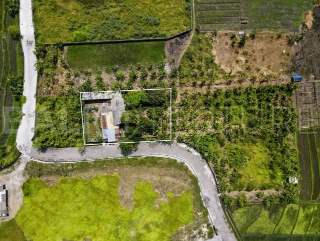 300m2 Stunning Land with Rice Field View, Canggu