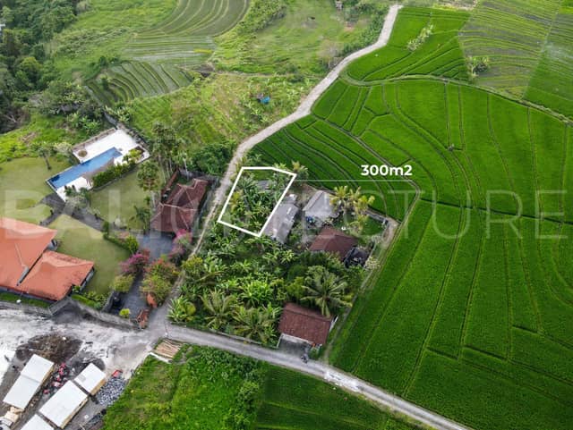 300m2 Stunning Land With Ricefield View Kaba Kaba, Tabanan