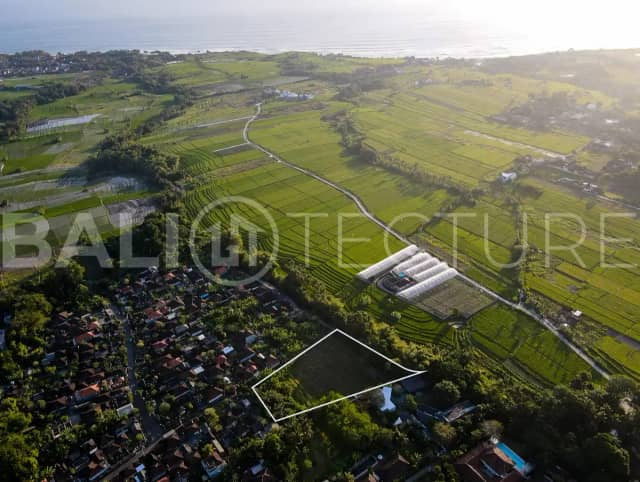 3200m2 Land For Sale With Ricefield View in Tanah Lot, Tabanan