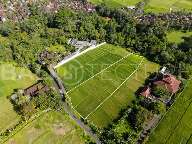 4000m2 Amazing Land Riverfront And Ricefiled View, Pererenan
