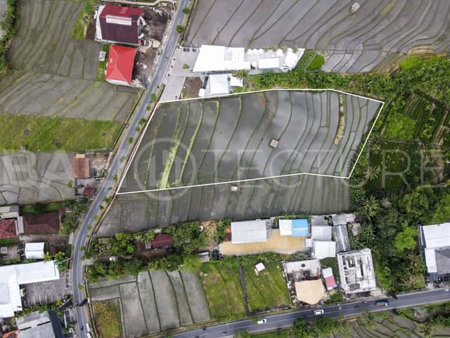 4000m2 Commercial Land With Ricefield View In Pererenan, Pererenan