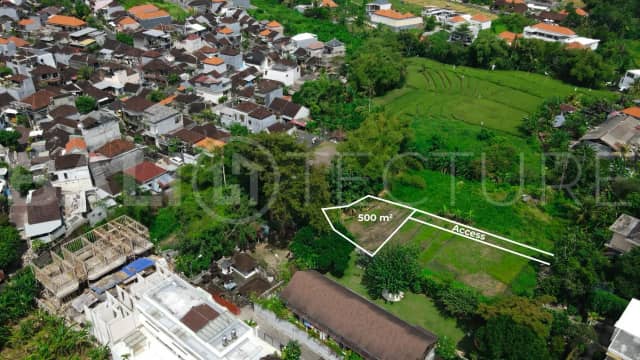 Leasehold Land for Sale Near Batu Bolong, Canggu