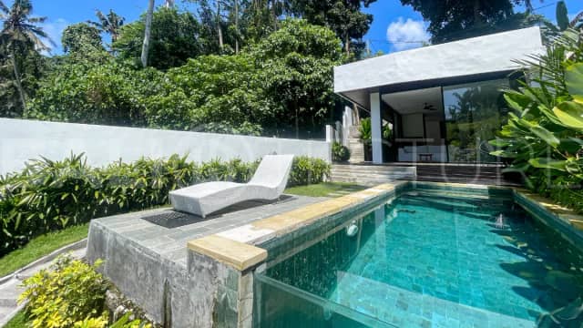 Brand New Riverside Villa for Sale at the Edge of Ubud, Ubud