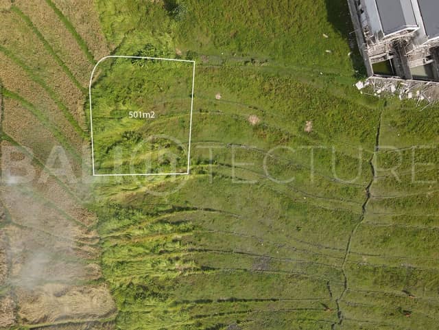 501m2 Land For Sale With Ricefield View In Pererenan, Pererenan