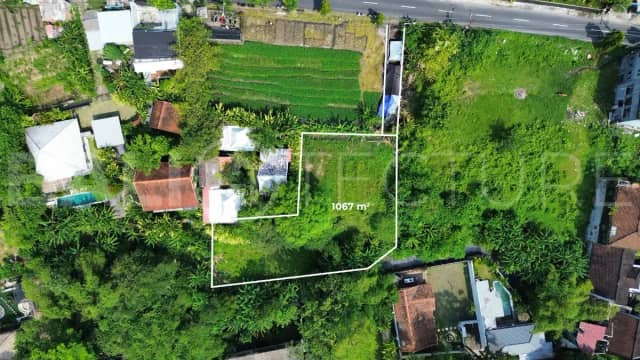 1,067 sqm Residential Land in Padonan with Strong Investment Potential, Canggu