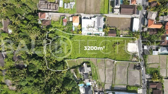 Prime 3200m2 Development Land for Sale in Ubud, Ubud