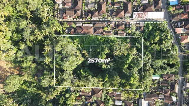 Residential Land for Sale in a Serene Area of Mas Ubud, Ubud