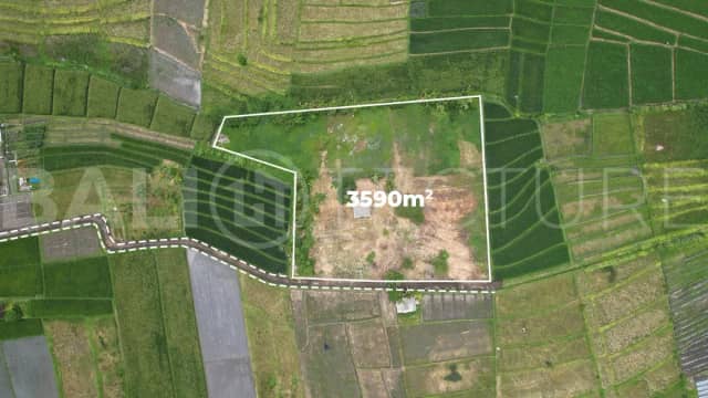 Ricefield View Land for Sale near Nyanyi Beach Bali, Pererenan