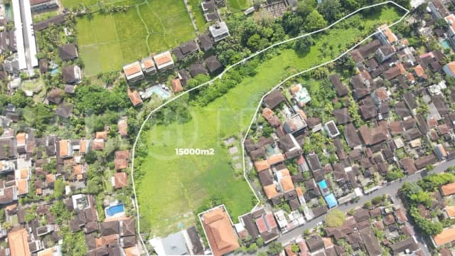 Strategic 15,000m² Land for Sale in a Prime Area of Ubud, Ubud
