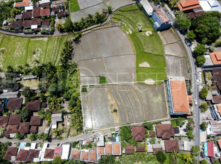 2000m2 leasehold land with ricefield 1