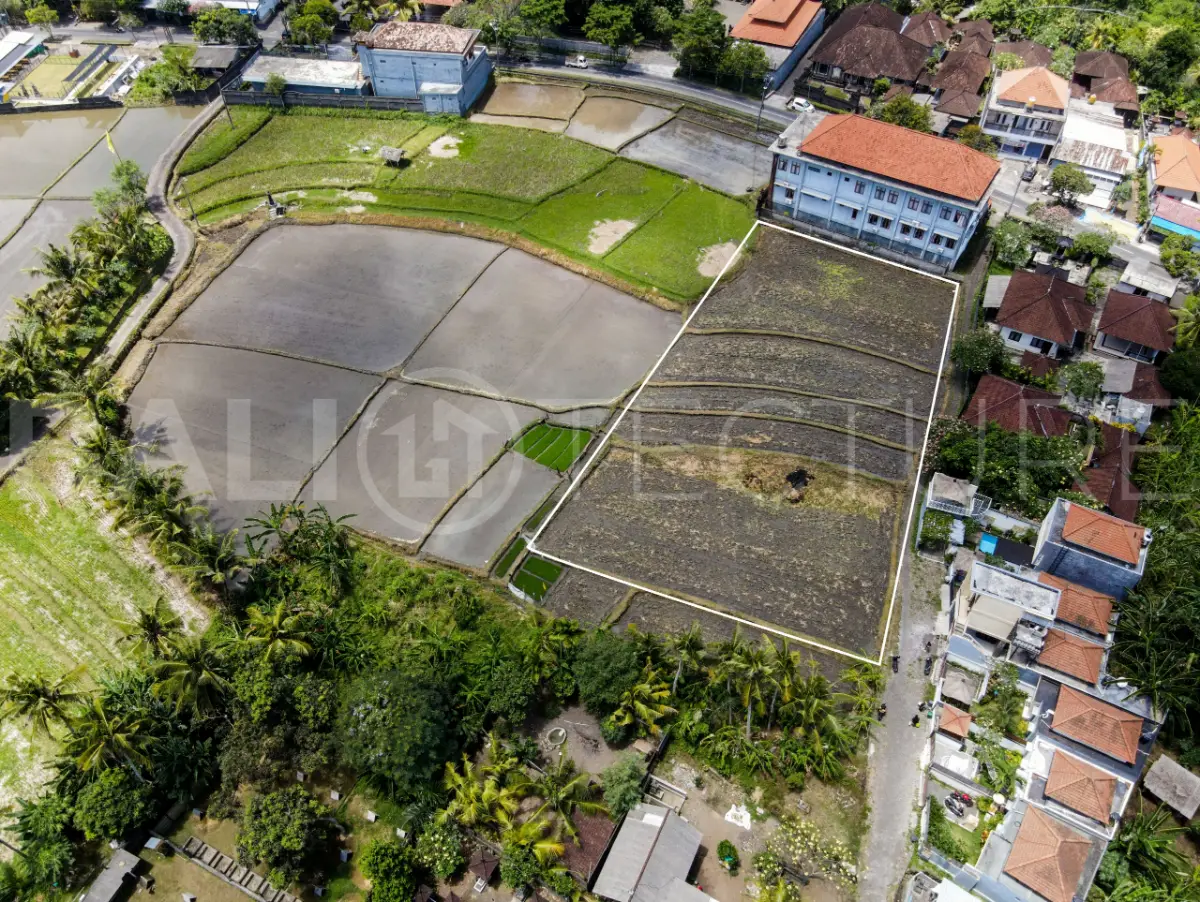 2000m2 leasehold land with ricefield 2