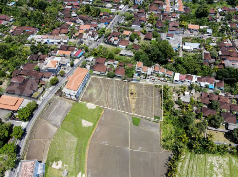 2000m2 leasehold land with ricefield 3