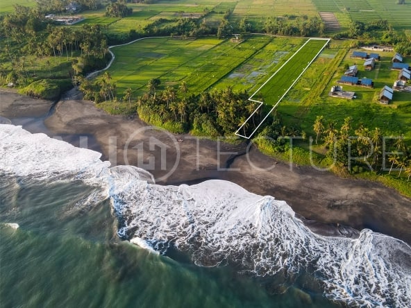 6500m2 Beachfront Land in Kedungu 3