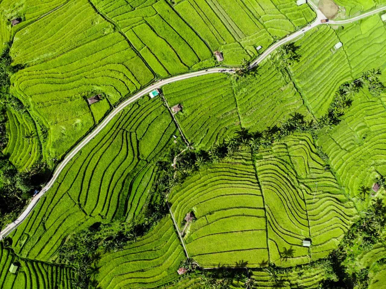 Bali Real Estate