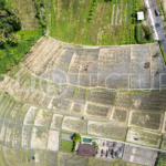 4000m2 Stunning Land With Ricefield View In Seseh 2