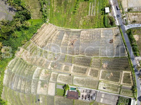 4000m2 Stunning Land With Ricefield View In Seseh 2