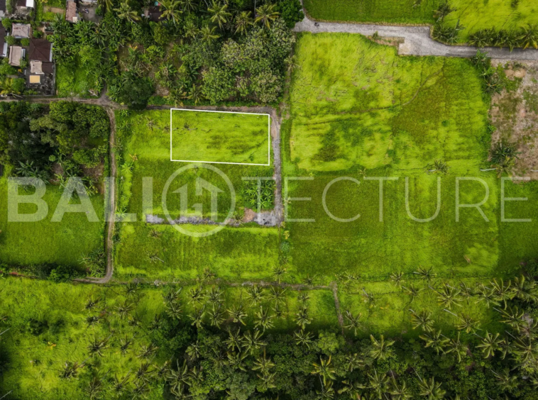 600m2 lodtunduh land for sale